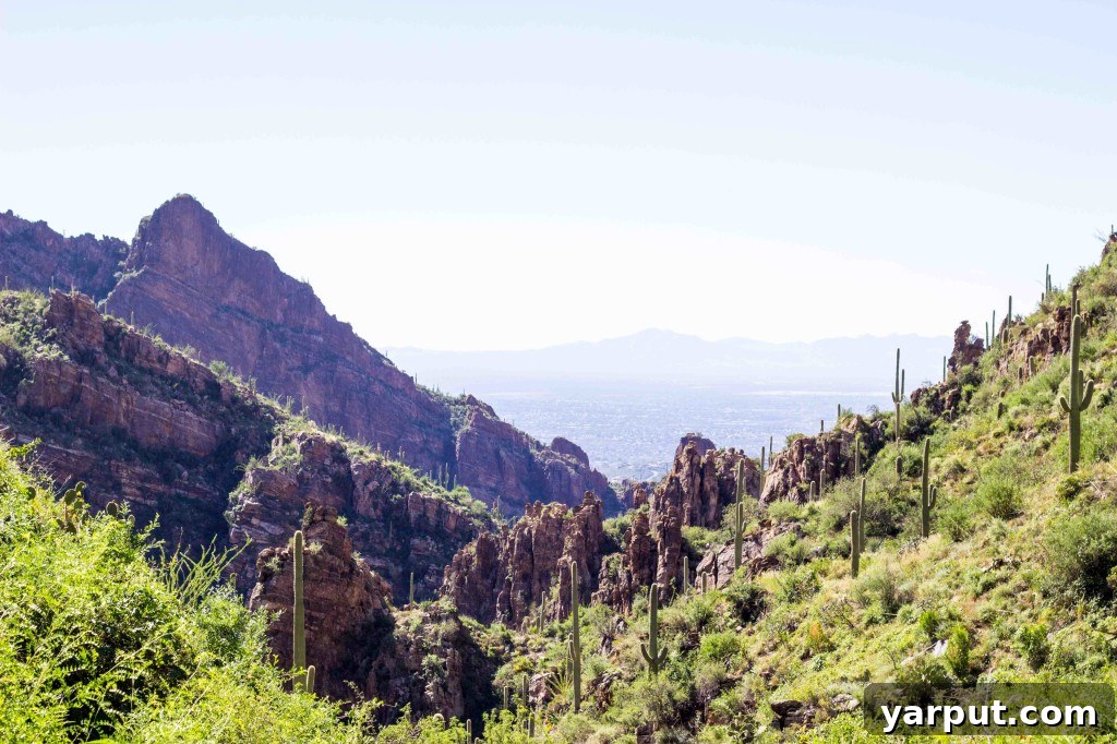 Fall Hike Adventure 2014