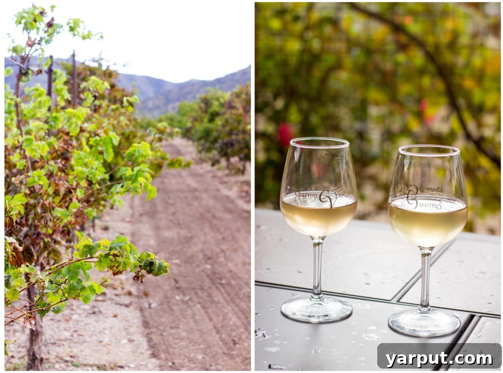 Fiesta Sweet Potato Boats 5 Scenic view of a desert winery