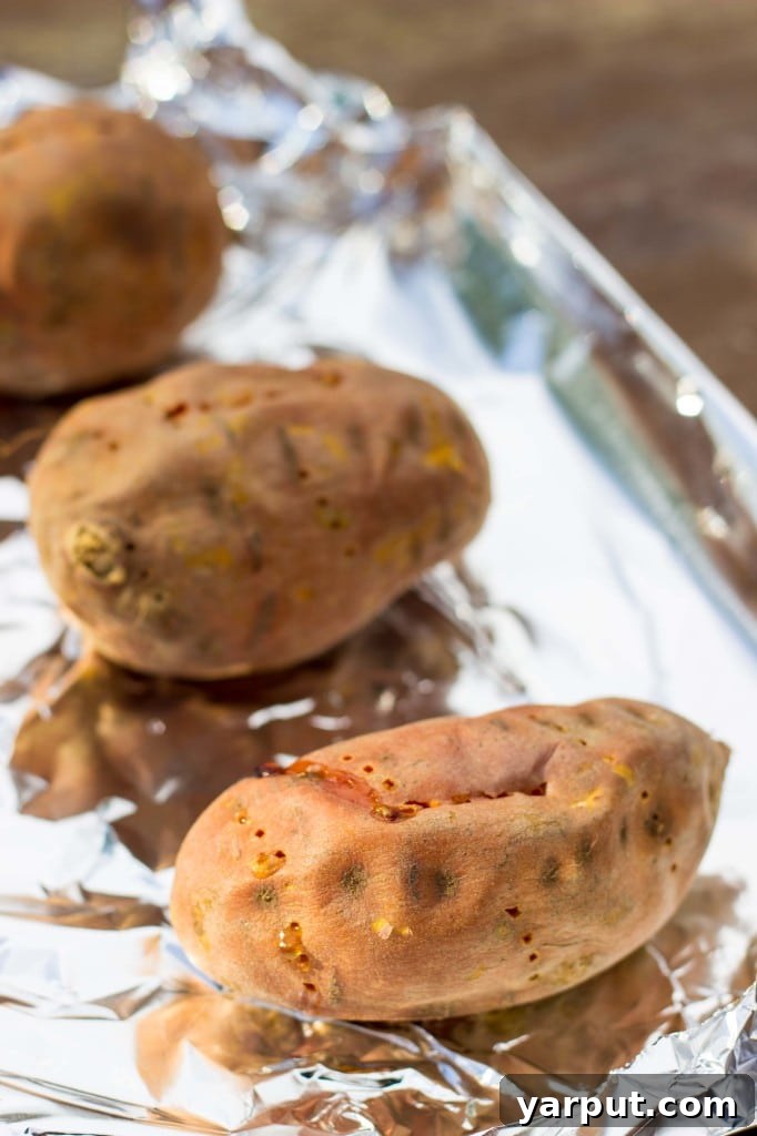 Fiesta Sweet Potato Boats 7 Close-up of Tex-Mex Loaded Sweet Potatoes