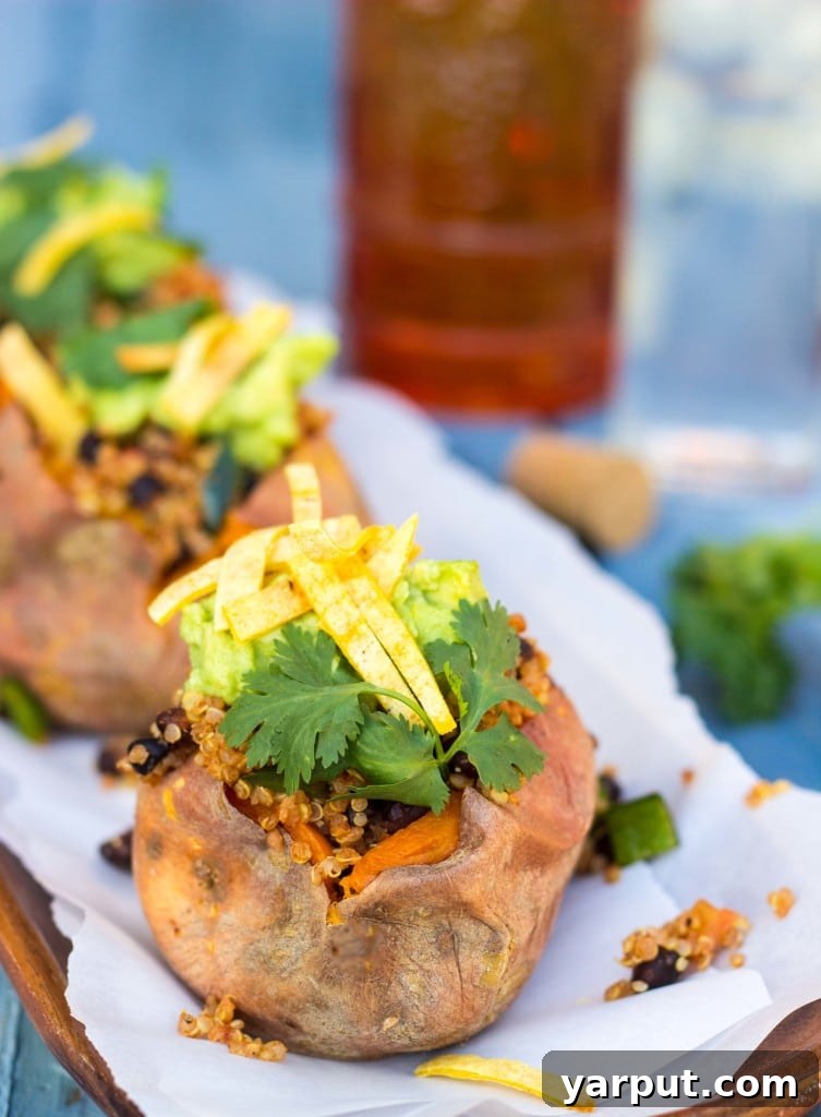 Fiesta Sweet Potato Boats 10 Overhead shot of two Tex-Mex Loaded Sweet Potatoes on a plate