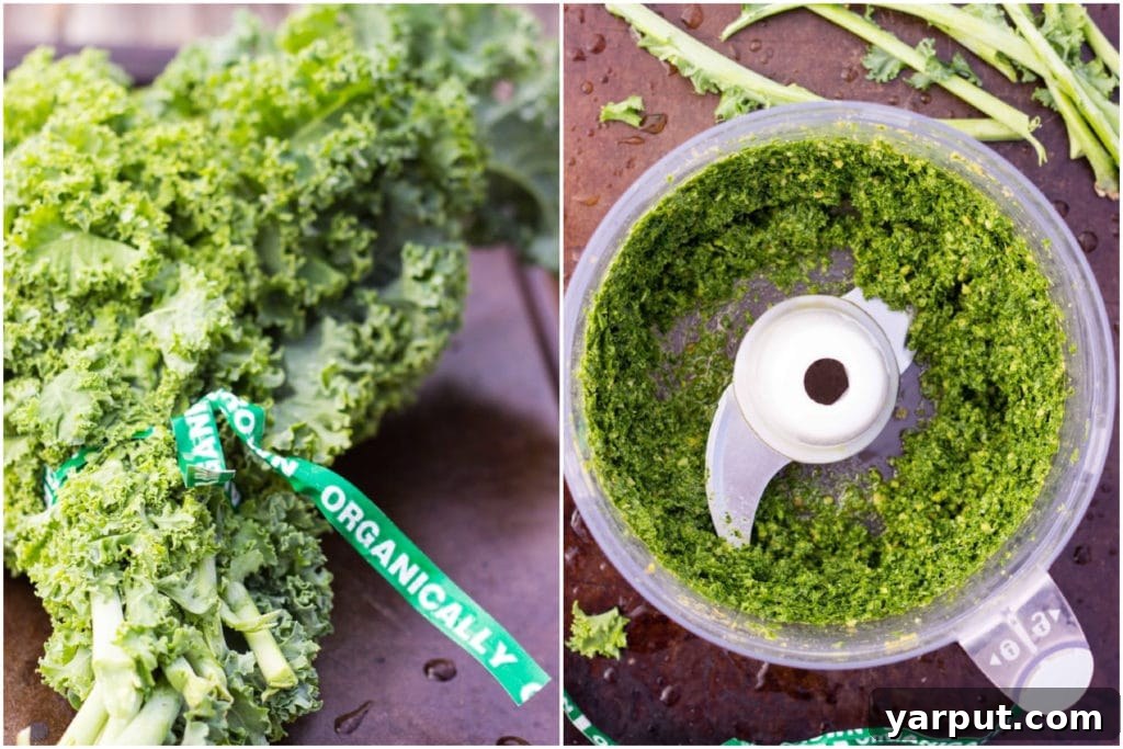 Hearty Sorghum, Sweet Potato, and White Bean Salad with Zesty Kale Pesto 4 a bunch of organic kale and a batch of kale pesto in a food processor