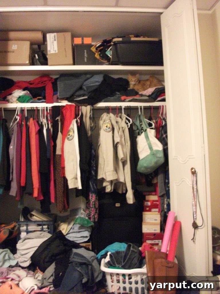 Cheeto the cat observing from the closet