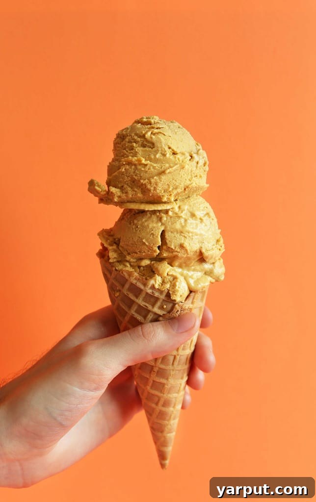 Vegan Pumpkin Ice Cream Vegan Pumpkin Ice Cream from Minimalist Baker, a refreshing fall dessert