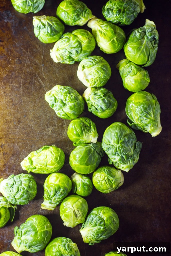 Sweet & Tangy Roasted Brussels Sprouts with Toasted Walnuts and Parmesan 3 Close-up of freshly roasted Maple & Dijon Brussels Sprouts with walnuts and Parmesan