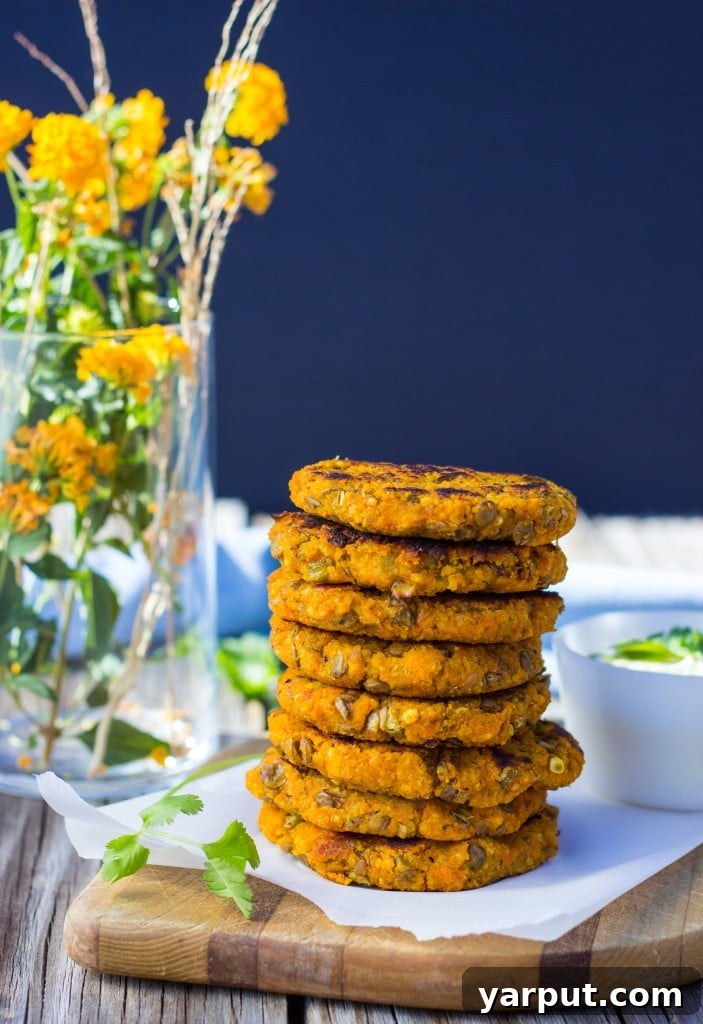 Curried Sweet Potato, Millet, and Lentil Fritters with Fresh Cilantro Aioli 7 A close-up of a Sweet Potato, Millet & Lentil Cake, showing its appealing texture and rich color, with a side of mayo