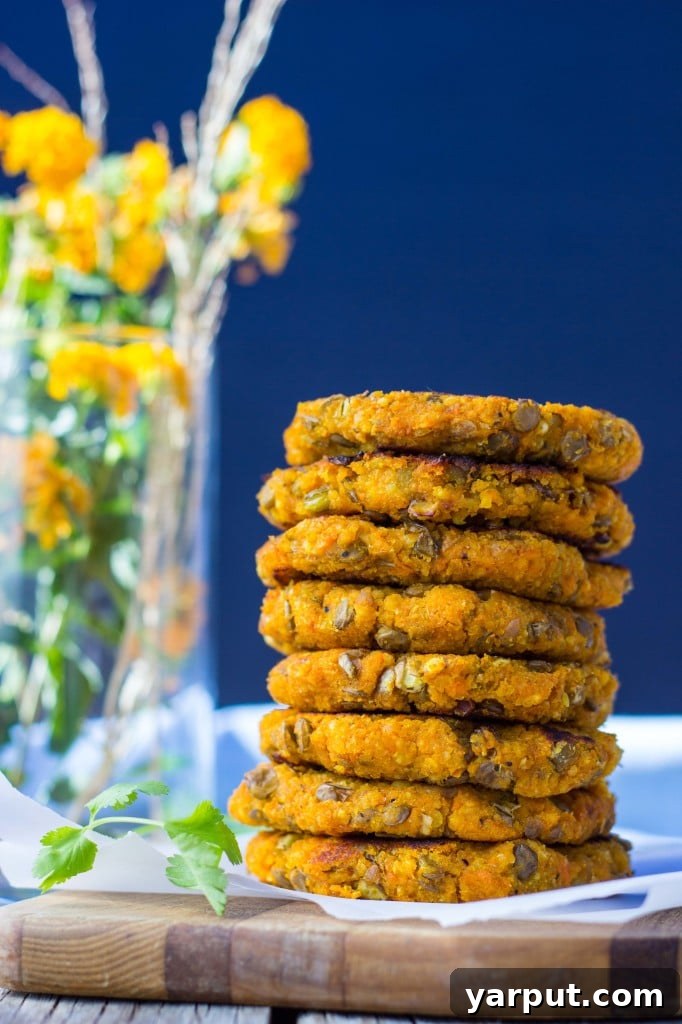 Curried Sweet Potato, Millet, and Lentil Fritters with Fresh Cilantro Aioli 9 A serving of Sweet Potato, Millet & Lentil Cakes artfully arranged with fresh garnishes and the creamy sauce