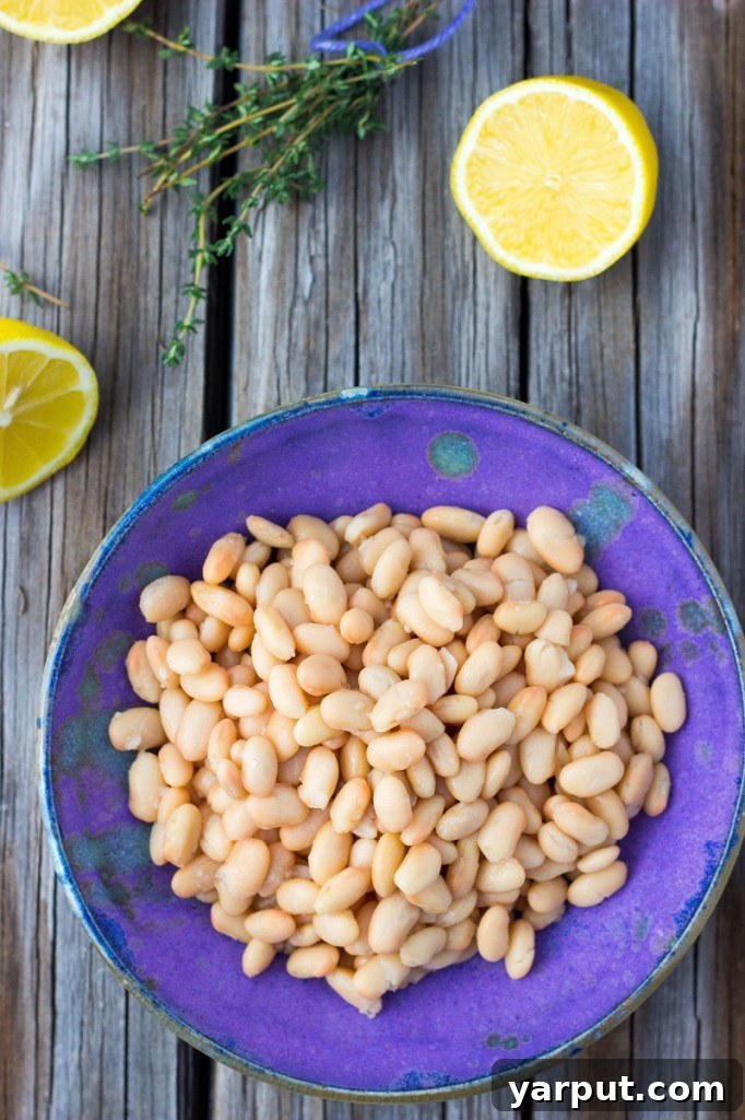 Vibrant Lemon Thyme White Bean Dip 3 Creamy White Bean Dip with Lemon and Thyme - perfect for crackers