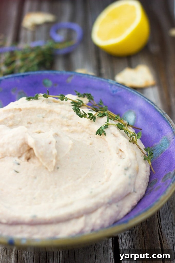 Vibrant Lemon Thyme White Bean Dip 4 Homemade White Bean Dip with Lemon and Thyme - closeup texture
