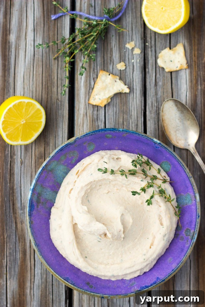 Vibrant Lemon Thyme White Bean Dip 6 Close-up of creamy white bean dip with lemon and thyme on a cracker