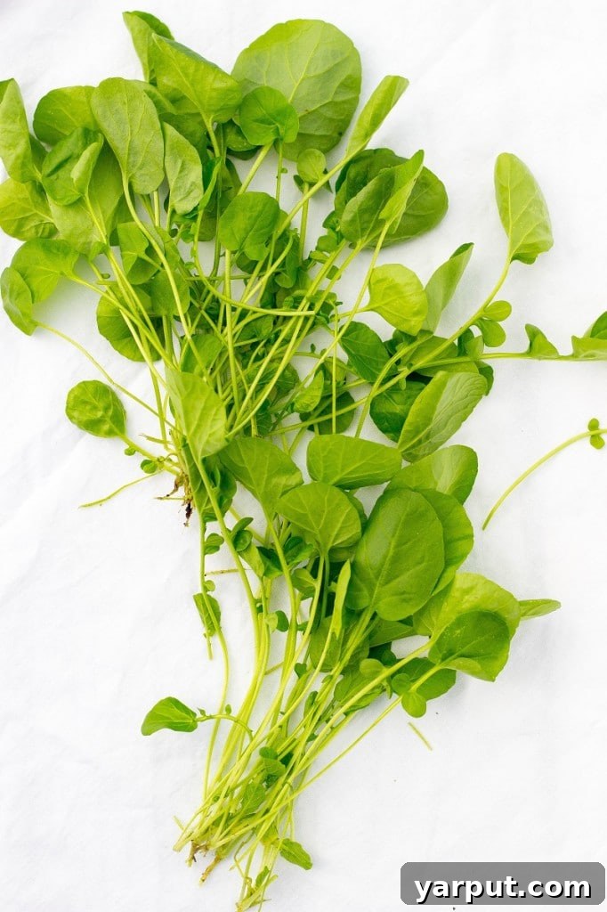 Vibrant Spring Pasta Medley 3 Close-up of fresh, vibrant watercress leaves, a key ingredient for its peppery flavor and numerous health benefits in spring salads.