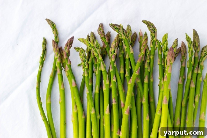 Vibrant Spring Pasta Medley 4 Fresh green asparagus spears, perfectly trimmed and ready for cooking, a staple vegetable in spring cuisine.