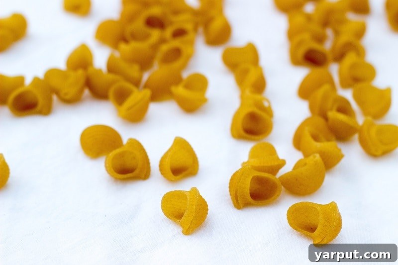 Vibrant Spring Pasta Medley 6 Cooked gluten-free brown rice pasta, featuring interesting shapes, perfect for absorbing dressing in a pasta salad.