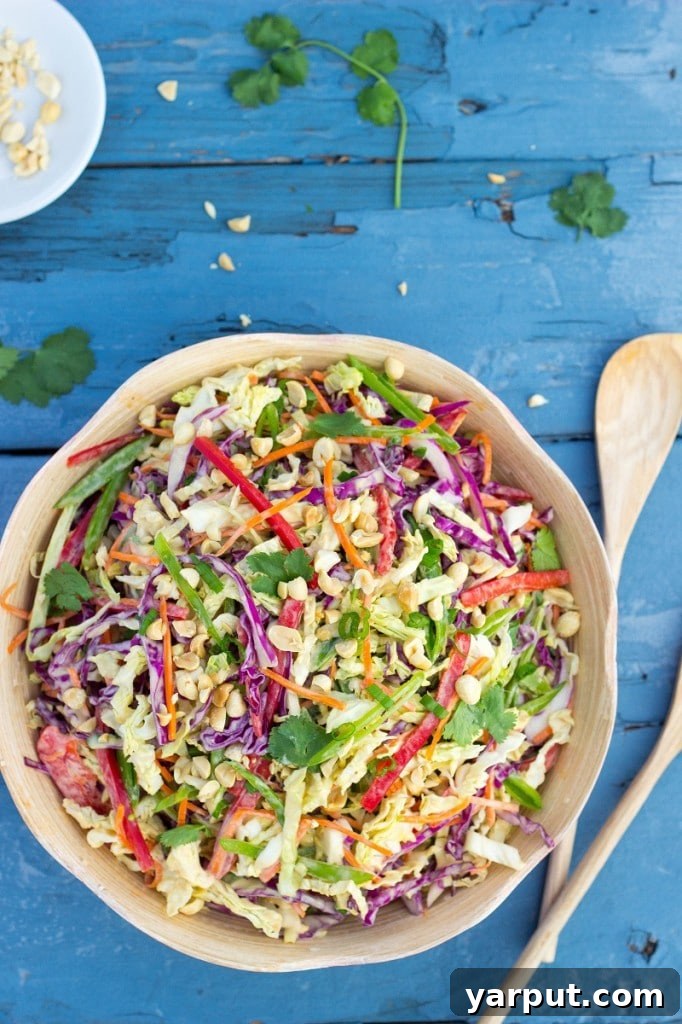 Velvet Asian Rainbow Slaw 11 Overhead shot of Creamy Rainbow Asian Slaw in a bowl
