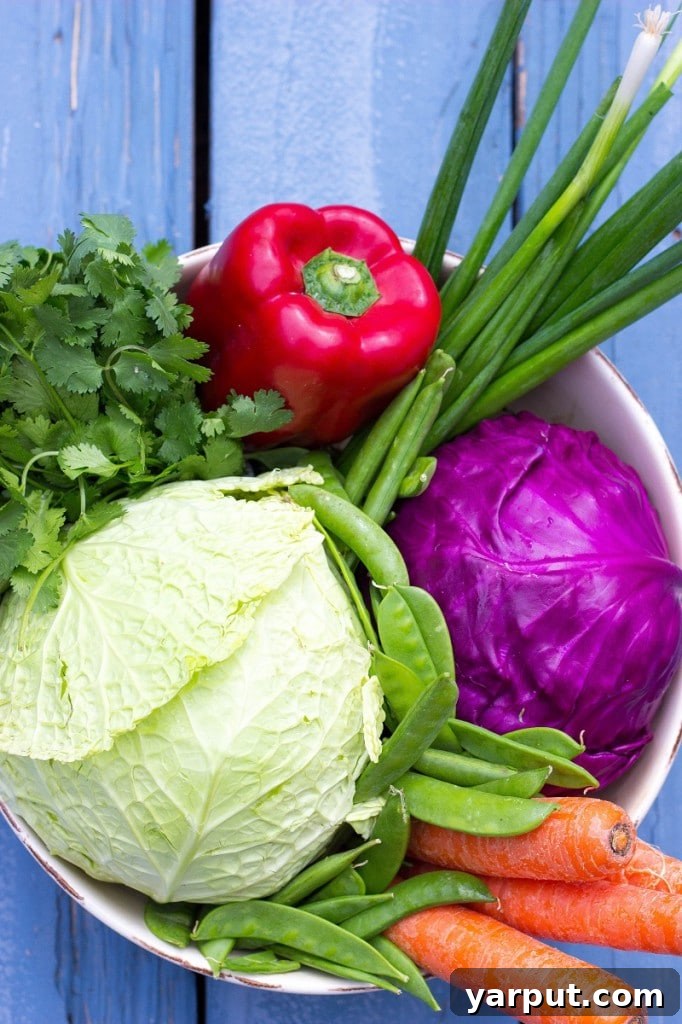 Velvet Asian Rainbow Slaw 3 Close-up of Creamy Rainbow Asian Slaw ingredients