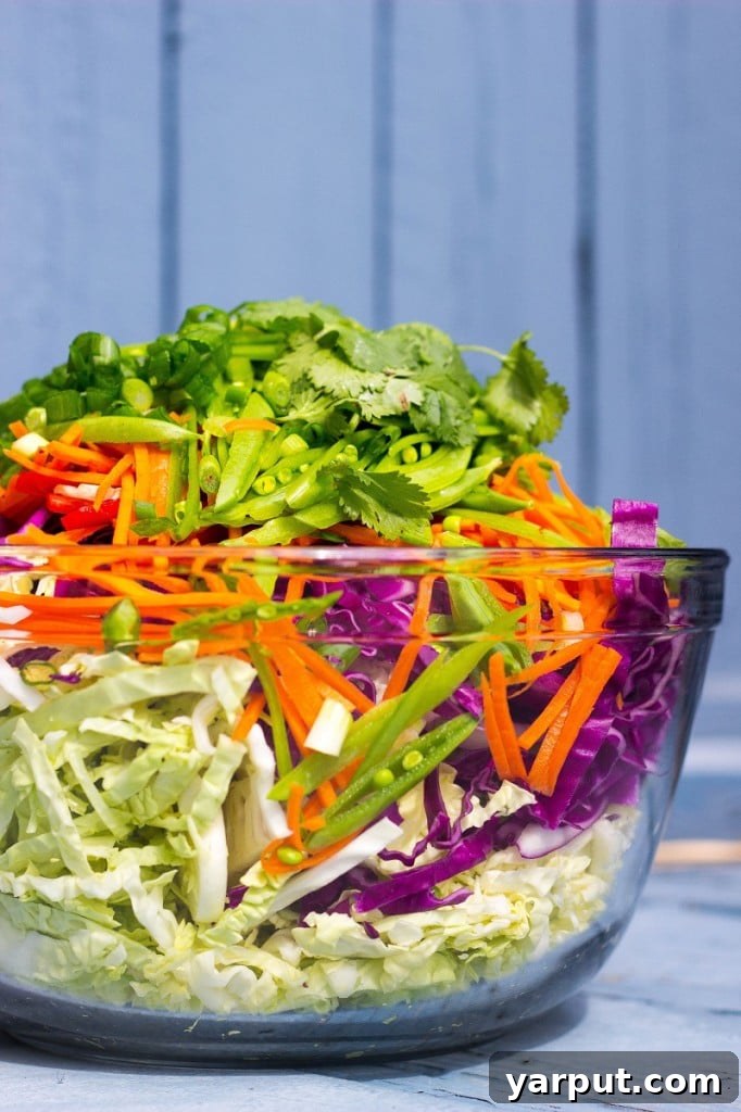 Velvet Asian Rainbow Slaw 4 Shredded purple and green cabbage for Asian Slaw