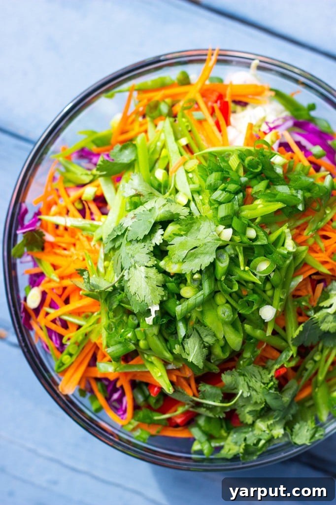 Velvet Asian Rainbow Slaw 5 Freshly chopped cilantro and scallions