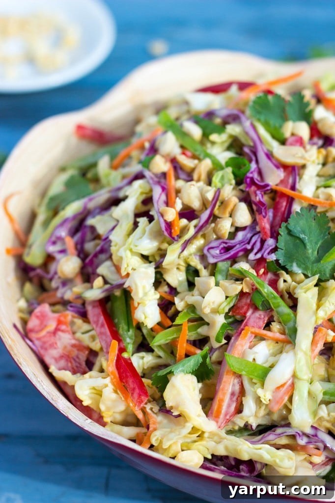 Velvet Asian Rainbow Slaw 6 Creamy Rainbow Asian Slaw in a serving bowl