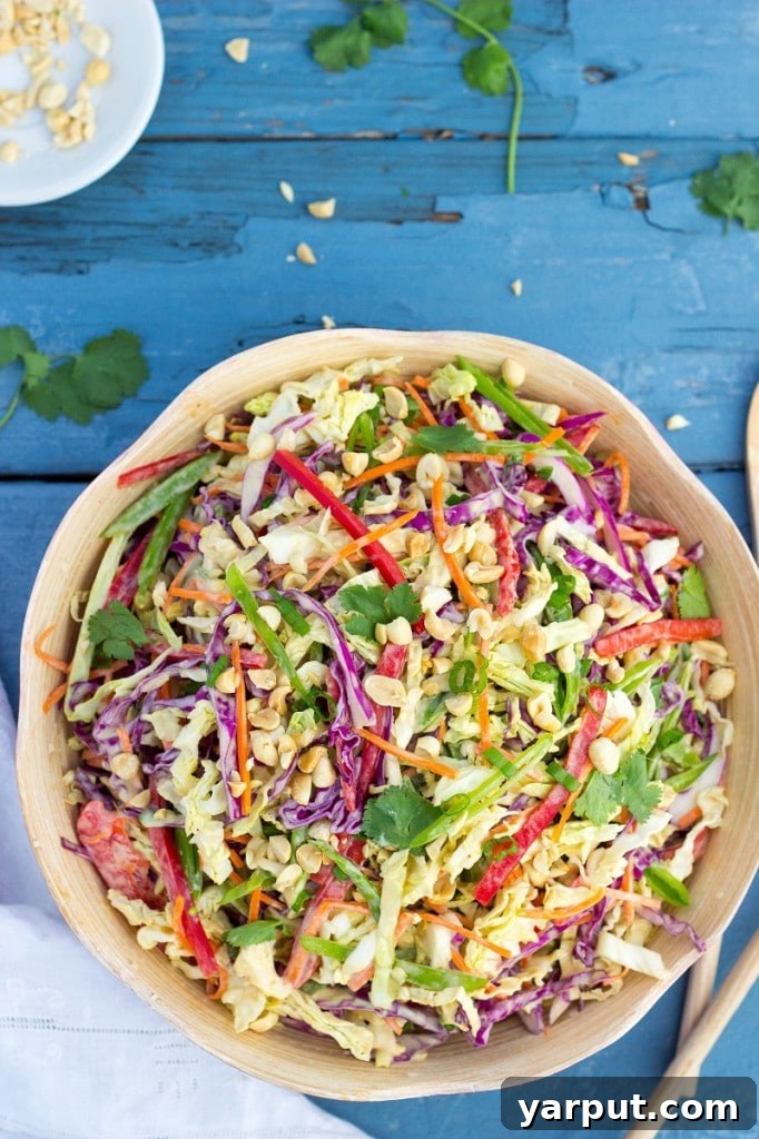 Velvet Asian Rainbow Slaw 8 Close-up of Creamy Rainbow Asian Slaw with peanuts