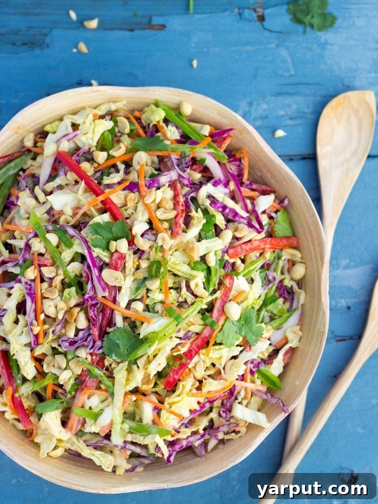 Velvet Asian Rainbow Slaw 9 A large bowl of colorful Creamy Rainbow Asian Slaw