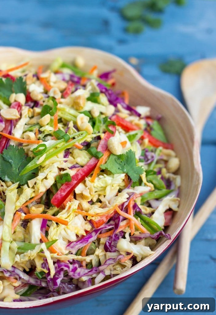 Velvet Asian Rainbow Slaw 10 Creamy Rainbow Asian Slaw on a plate