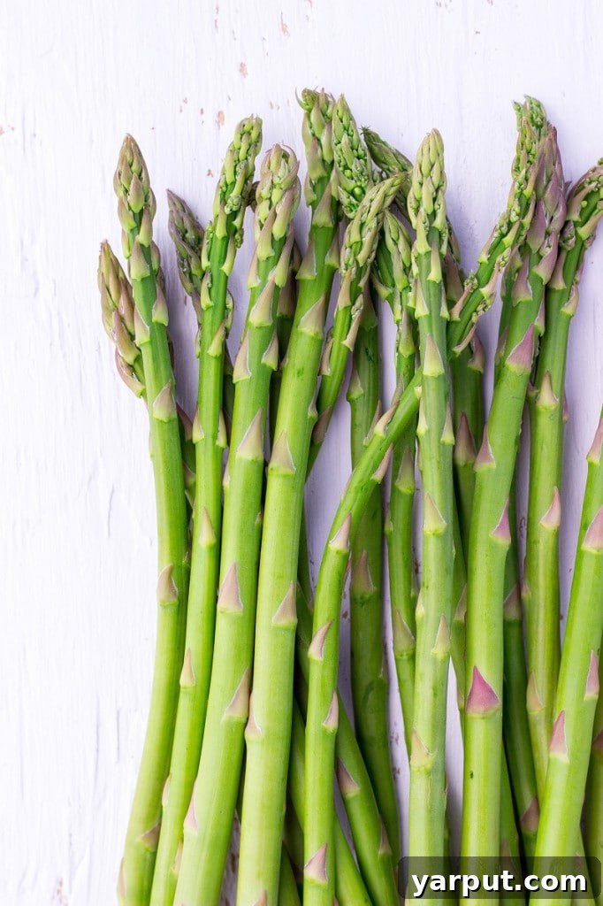 Vibrant Spring Hummus Toasts 3 Fresh Spring Toasts with Hummus - Asparagus and Radishes