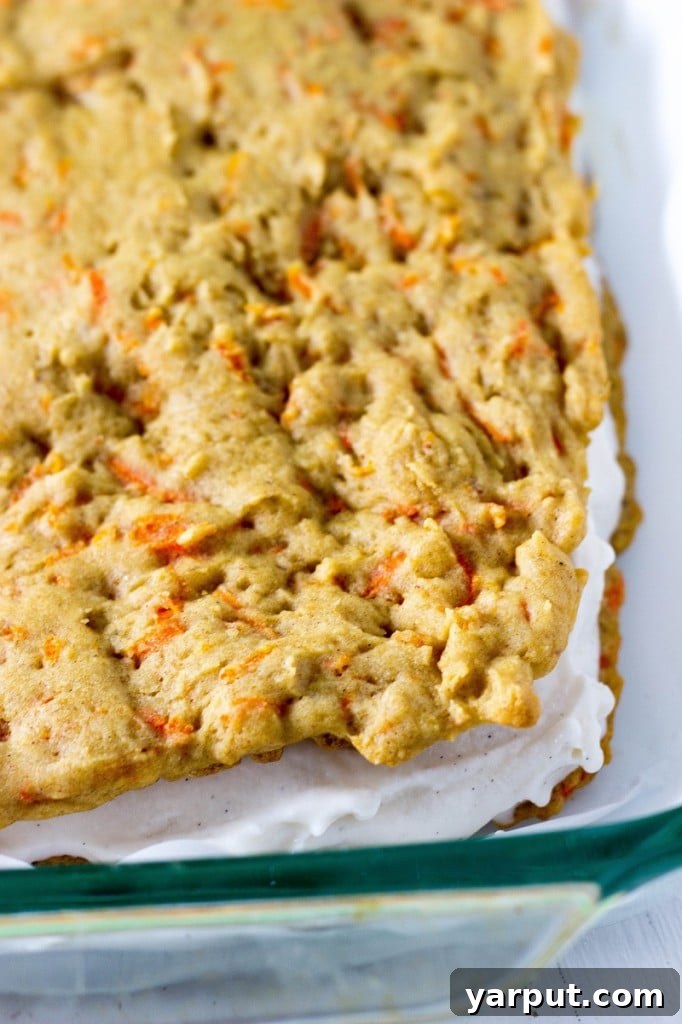 Vegan Gluten Free Carrot Cake Ice Cream Sandwiches 6 Carrot Cake Ice Cream Sandwiches {gluten free & vegan}-3273