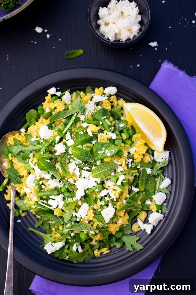 Vibrant Spring Orzo Salad with Asparagus and Peas 6 Fresh Orzo Salad with Asparagus and Peas
