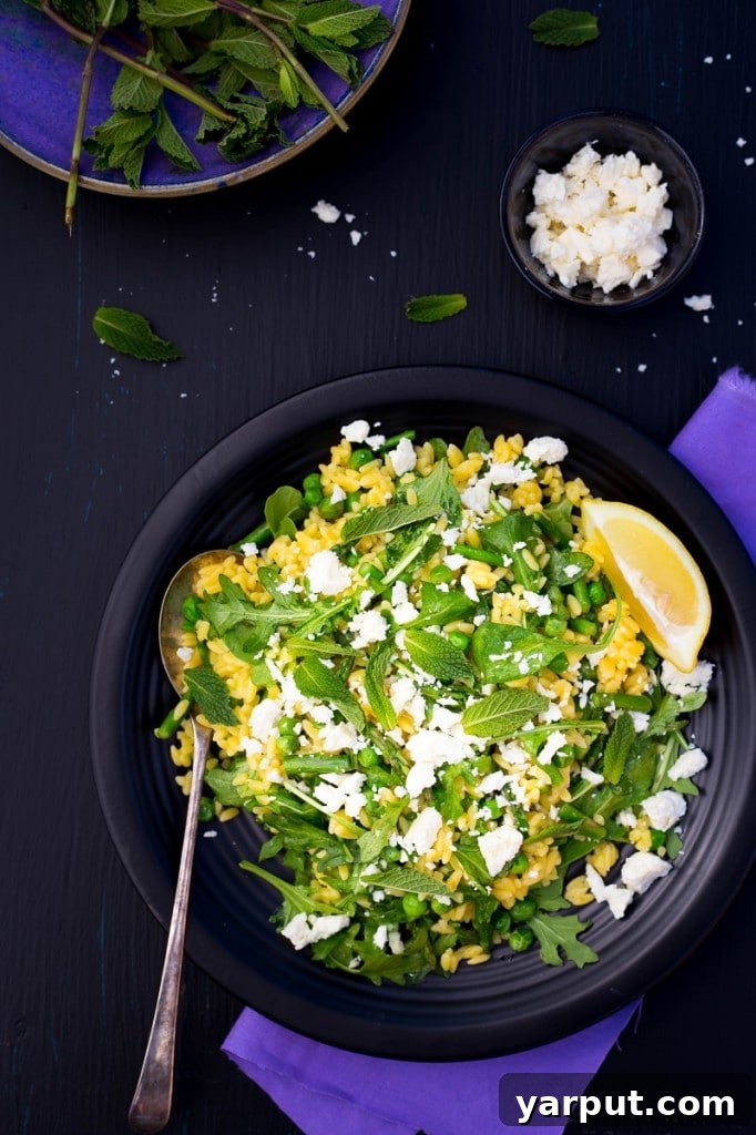 Vibrant Spring Orzo Salad with Asparagus and Peas 7 Spring Orzo Salad ready to serve