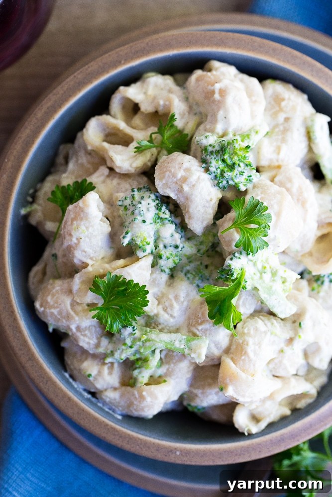 Creamy Plant-Based Cashew Alfredo Pasta with Broccoli 3 A close-up shot of creamy vegan alfredo pasta with tender broccoli florets, showcasing the rich texture of the cashew-based sauce, ready to be served.