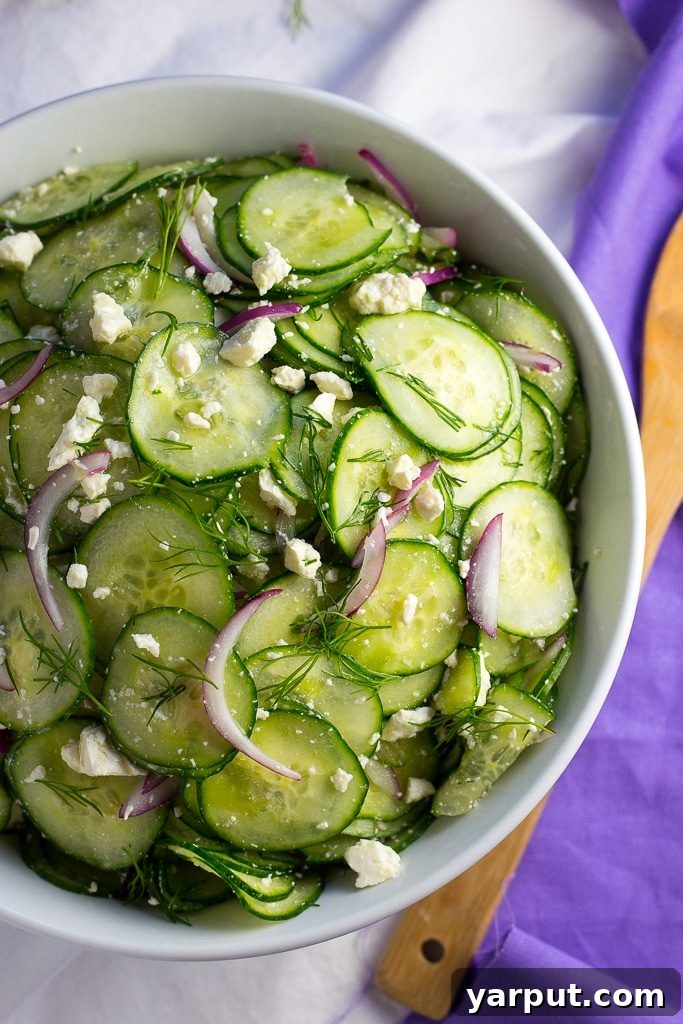 Zesty Pickled Feta, Crisp Cucumber & Fresh Dill Salad 6 Fresh Cucumber and Pickled Feta Salad ready to serve