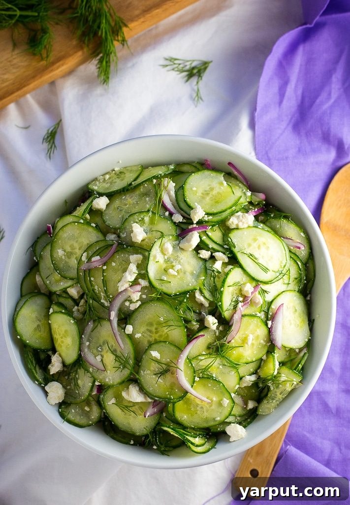 Zesty Pickled Feta, Crisp Cucumber & Fresh Dill Salad 7 Serving of Cucumber and Pickled Feta Salad on a plate