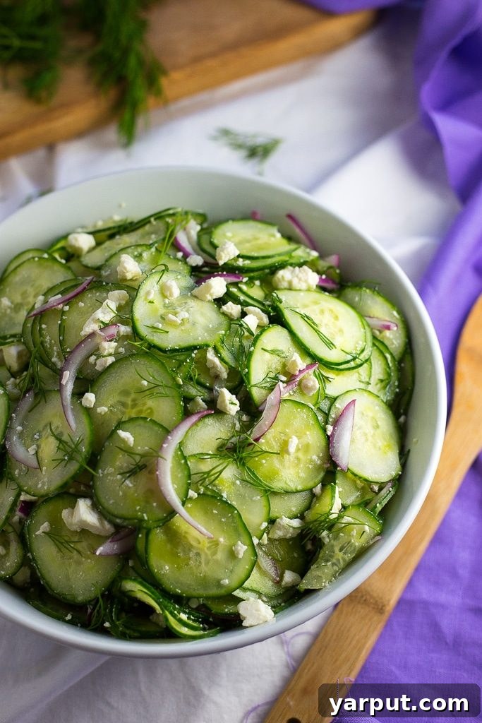 Zesty Pickled Feta, Crisp Cucumber & Fresh Dill Salad 8 Cucumber and Pickled Feta Salad with Dill close up
