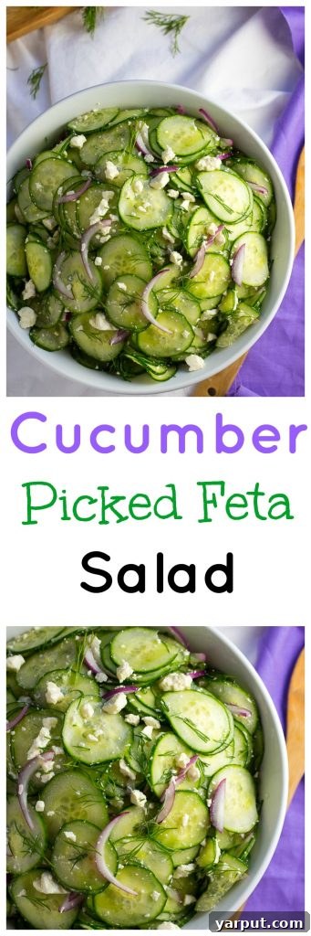 Zesty Pickled Feta, Crisp Cucumber & Fresh Dill Salad 9 Collage of Cucumber and Pickled Feta Salad images