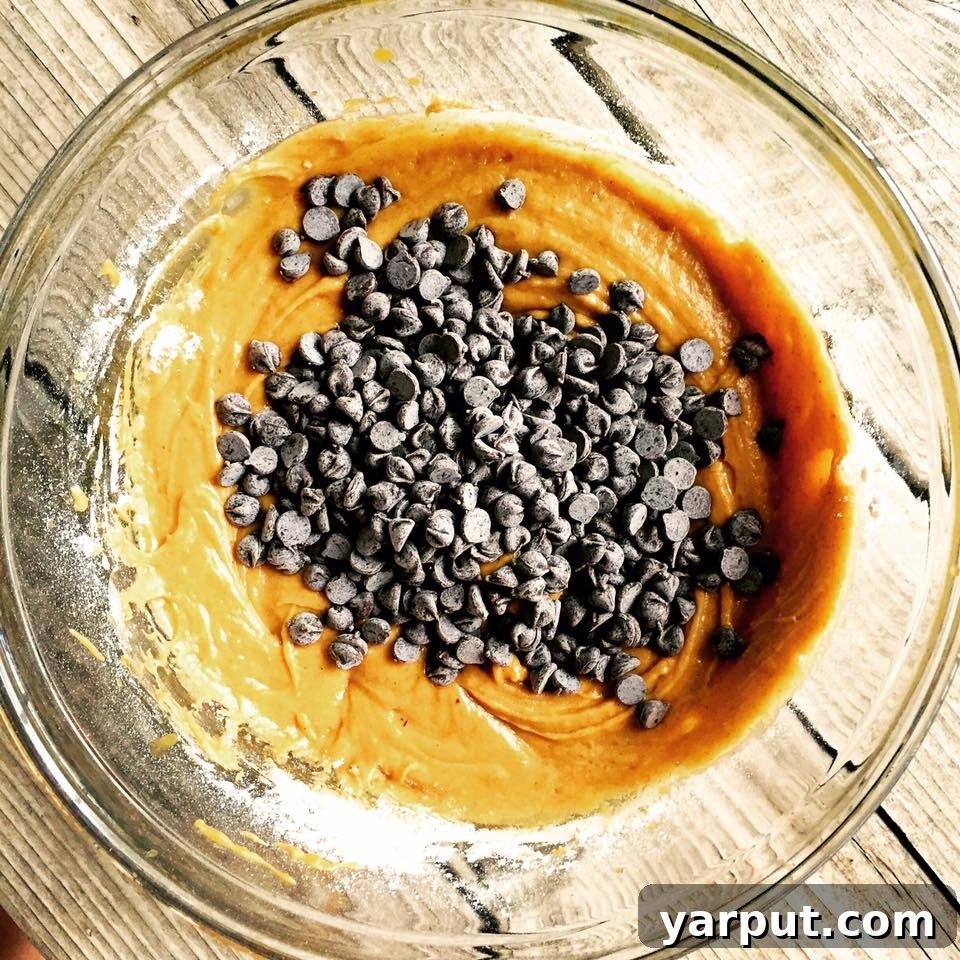 Gluten Free Pumpkin Muffins with Chocolate Chips and Streusel 3 Delicious Gluten-Free Pumpkin Muffins with Streusal Topping
