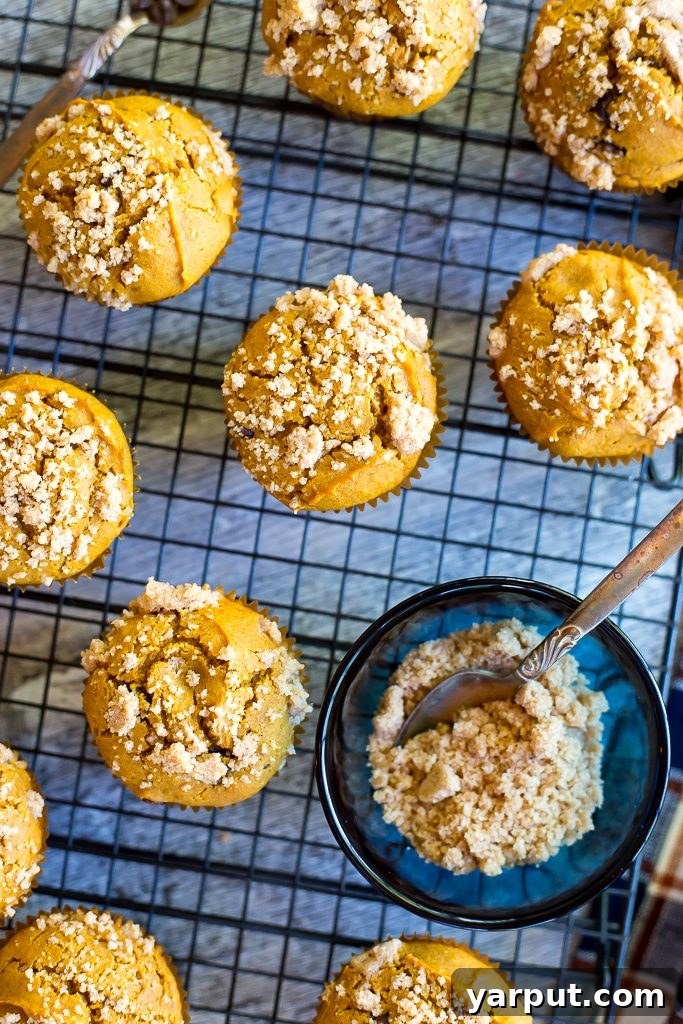 Gluten Free Pumpkin Muffins with Chocolate Chips and Streusel 5 Freshly baked Gluten-Free Pumpkin Muffins with Chocolate Chips & Streusal Topping