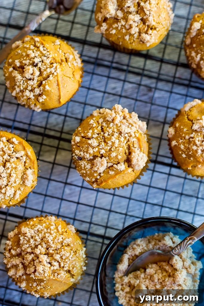 Gluten Free Pumpkin Muffins with Chocolate Chips and Streusel 6 Close-up of Gluten-Free Pumpkin Muffin with Chocolate Chips and Streusal