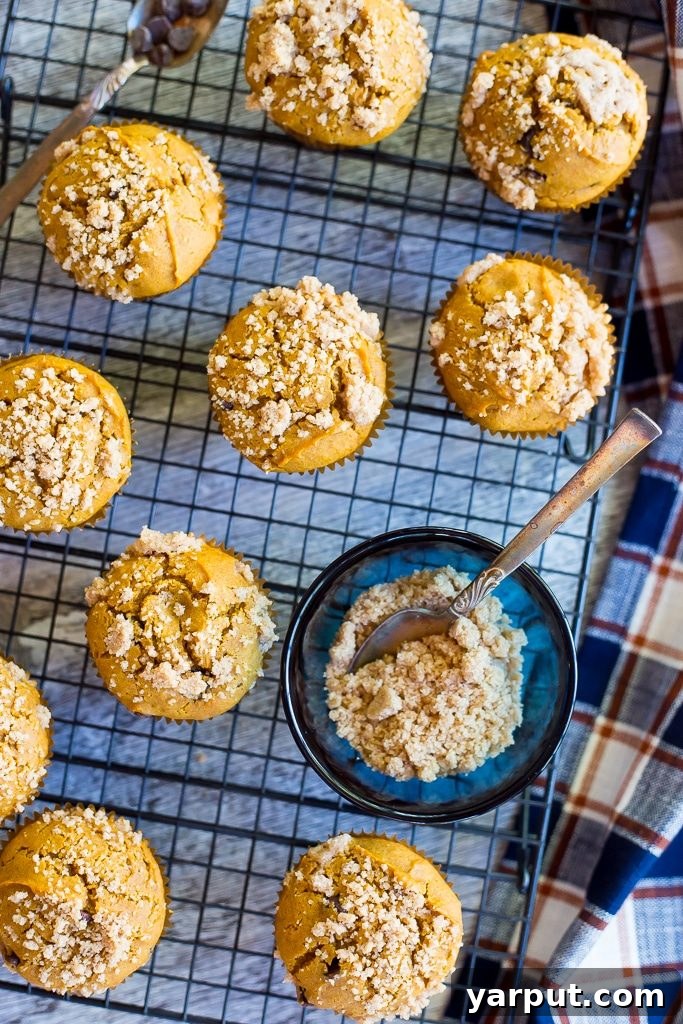 Gluten Free Pumpkin Muffins with Chocolate Chips and Streusel 7 Gluten-Free Pumpkin Muffins ready to be served