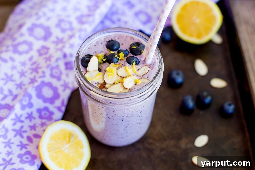 A close-up of the refreshing Lemon, Wild Blueberry & Almond Protein Smoothie, showcasing its beautiful color and creamy texture, a perfect blend of taste and nutrition for a satisfying start to any day.