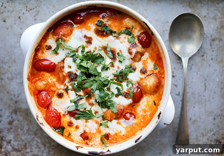 Speedy Plant Based Suppers 5 Easy Baked Gnocchi with Tomatoes and Mozzarella