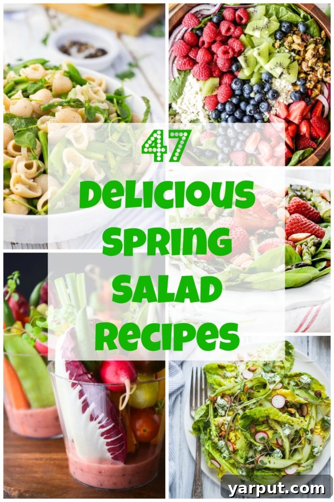 Spring's Freshest Flavors A Collection of Irresistible Salads 2 A vibrant assortment of fresh spring salads featuring seasonal produce and colorful dressings.