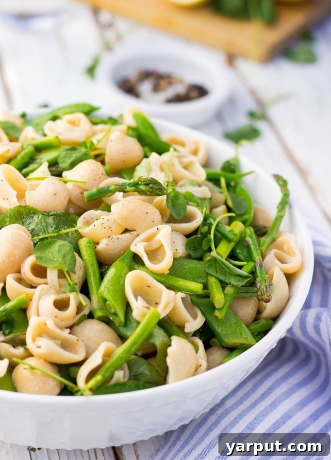 Spring's Freshest Flavors A Collection of Irresistible Salads 5 Variety of refreshing spring salads, including pasta and tomato-cucumber options with a fresh dressing.