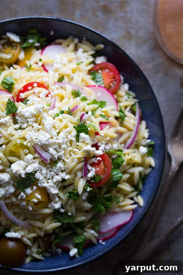 Spring's Freshest Flavors A Collection of Irresistible Salads 6 Healthy and delicious spring salad recipes, featuring orzo pasta, panzanella, and superfood bowls.