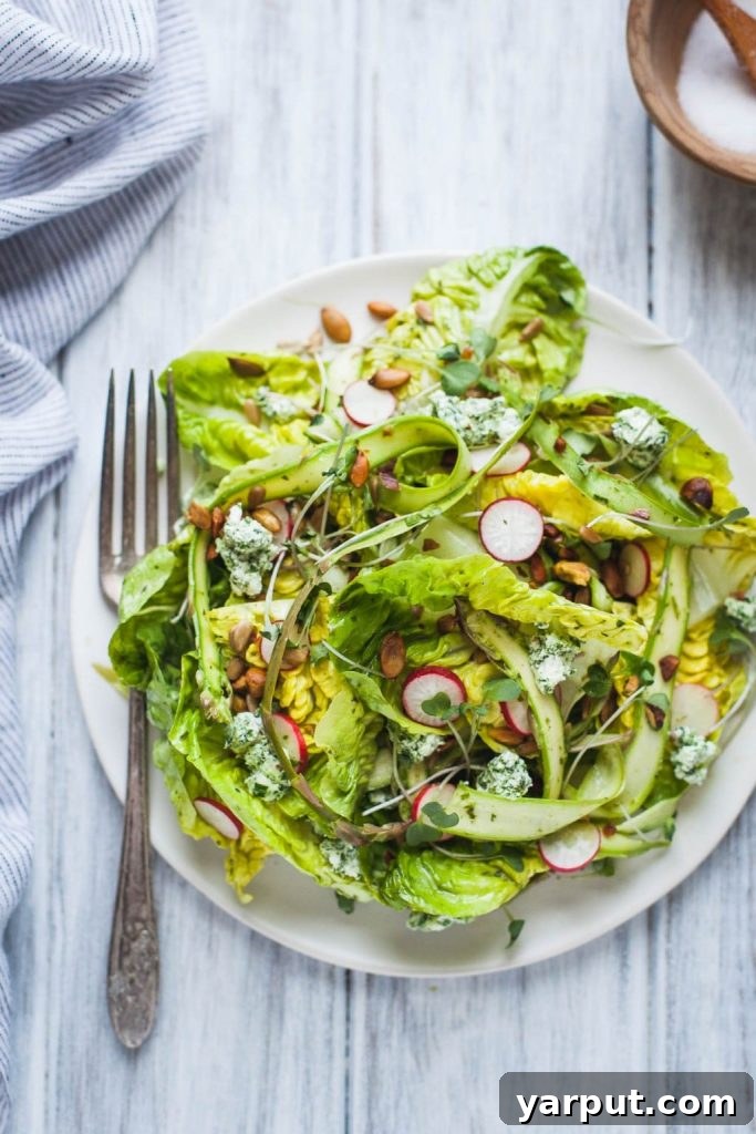 Spring's Freshest Flavors A Collection of Irresistible Salads 8 Diverse spring salad ideas, from little gem to kiwi berry combinations, offering a variety of flavors.