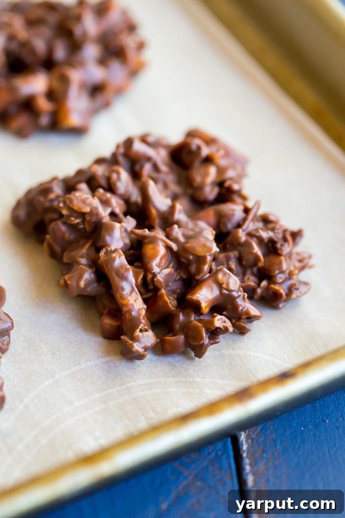 Effortless Chocolate Pretzel Peanut Butter Crunch Cookies 4 No Bake Chocolate Pretzel Peanut Butter Cookies! So easy to make and they make for a delicious snack or dessert when you're craving cookies but don't want to turn on the oven! {gluten free}
