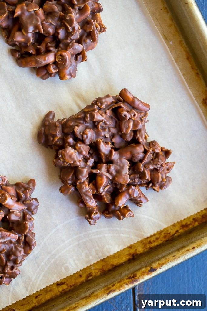 Effortless Chocolate Pretzel Peanut Butter Crunch Cookies 7 No Bake Chocolate Pretzel Peanut Butter Cookies! So easy to make and they make for a delicious snack or dessert when you're craving cookies but don't want to turn on the oven! {gluten free}
