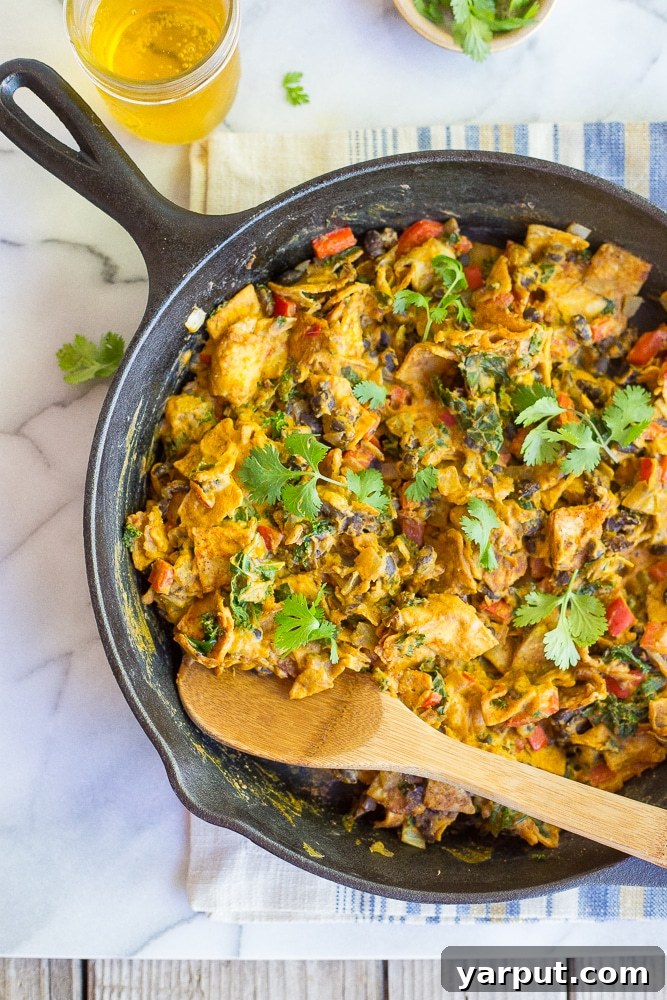 One-Pot Vegan Cheesy Tacos 7 A large skillet filled with the finished Cheezy Vegan Taco Skillet, ready for a hearty family dinner, garnished with cilantro