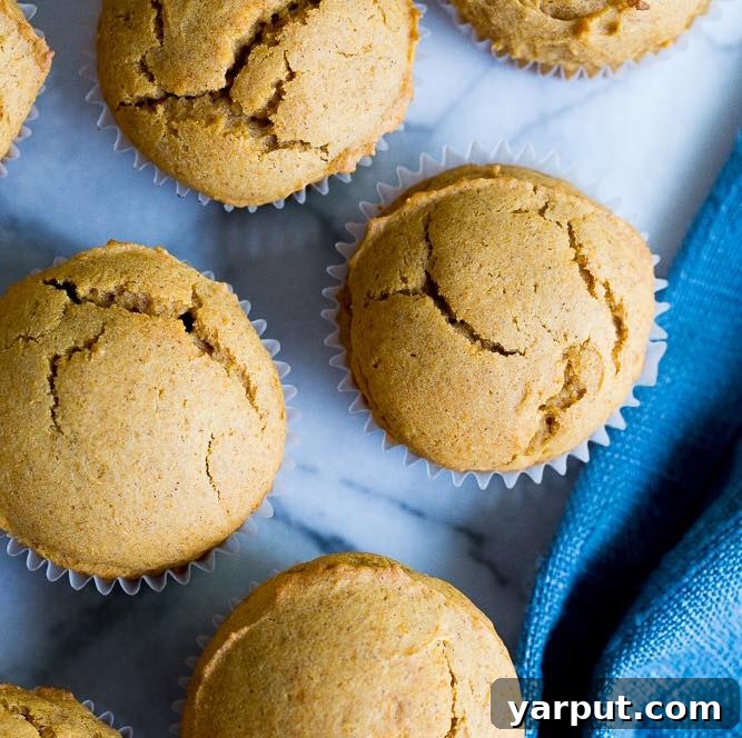 Two sweet potato muffins on a cooling rack