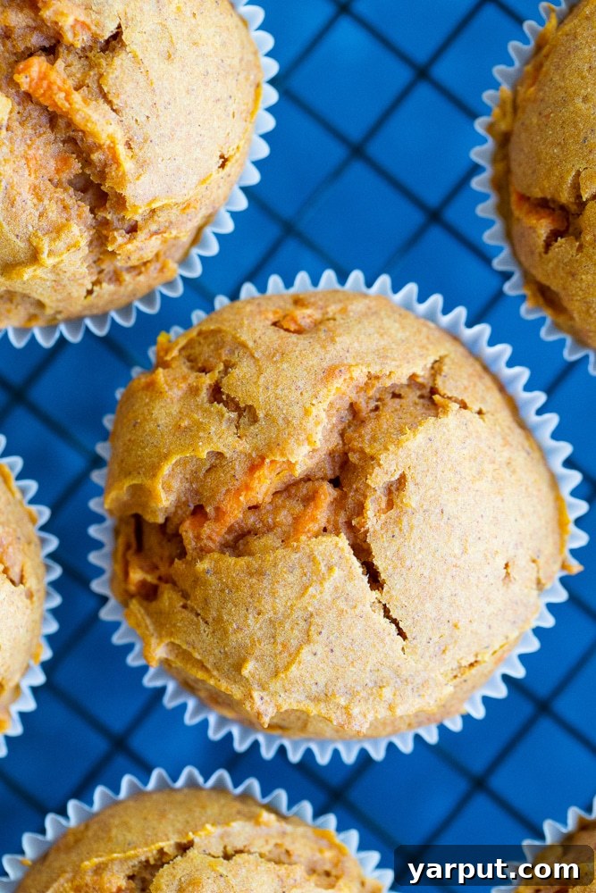 Wholesome Double Carrot Muffins 2 These Healthy Double Carrot Muffins are packed with carrot puree and grated carrots and they're also refined sugar free, dairy free and gluten free! They're perfect for a healthy make ahead breakfast or snack!