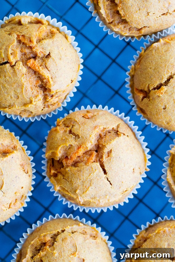 Wholesome Double Carrot Muffins 3 These Healthy Double Carrot Muffins are packed with carrot puree and grated carrots and they're also refined sugar free, dairy free and gluten free! They're perfect for a healthy make ahead breakfast or snack!