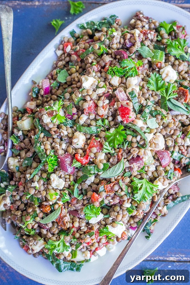 55 Refreshing & Healthy Summer Sides 19 Mediterranean Lentil Salad, a healthy and protein-rich summer side